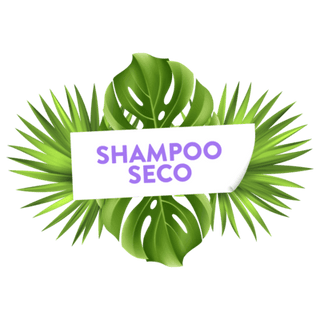 Shampoo Seco