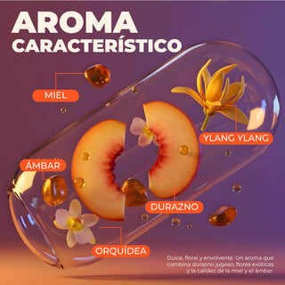 Kit Rubio Perla Beige