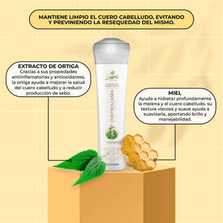 Ingredientes shampoo control Caspa Naissant