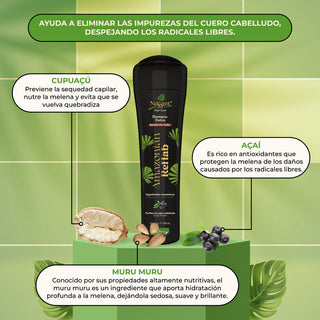 ingredientes shampoo detox rehabilitación capilar amazonian rehab Naissant