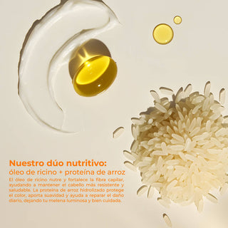 Shampoo Procolor 300ml